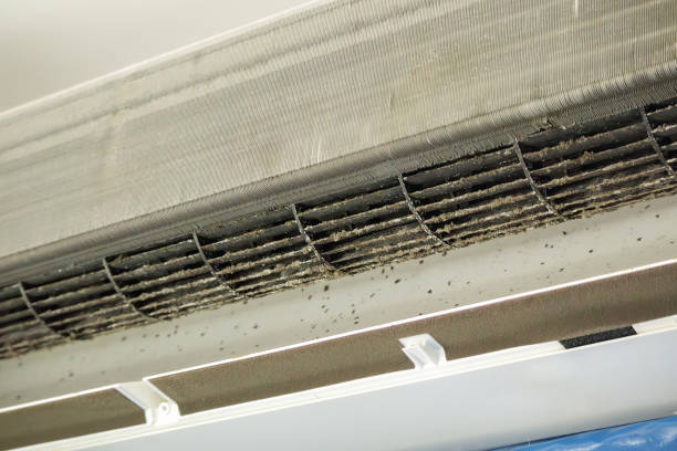 Best Affordable Air Duct Cleaning  in Absecon, NJ